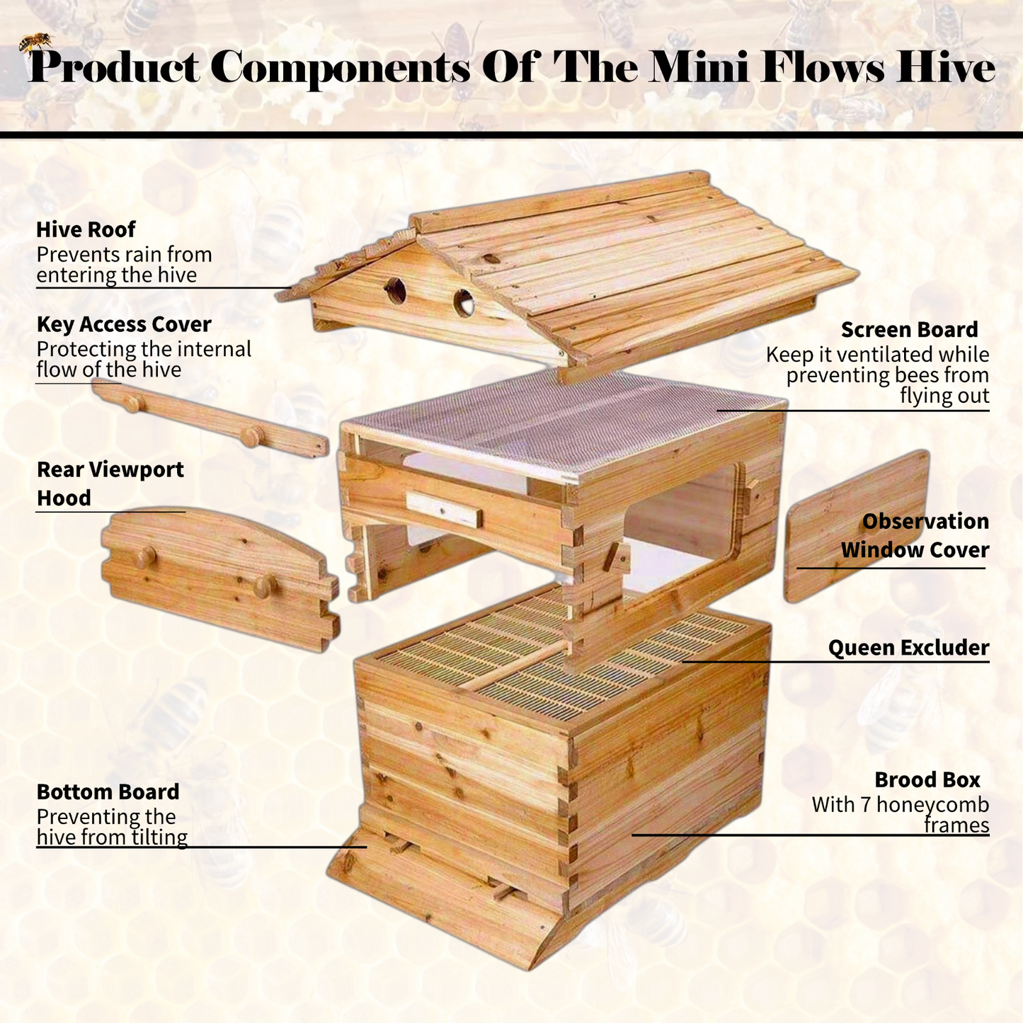 7 Pcs Flowing Honey Hive Bee Hive Starter Kit