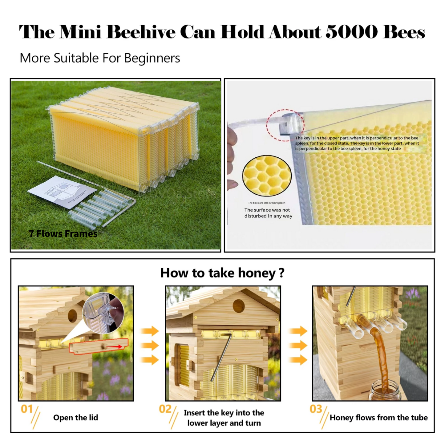 7 Pcs Flowing Honey Hive Bee Hive Starter Kit