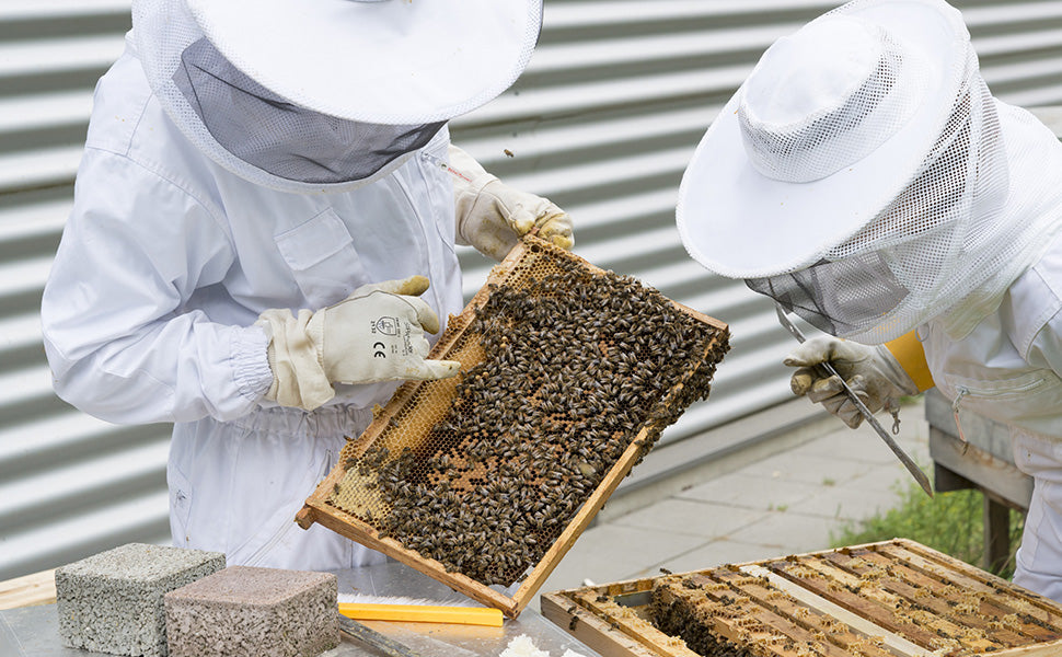 beekeeping suit