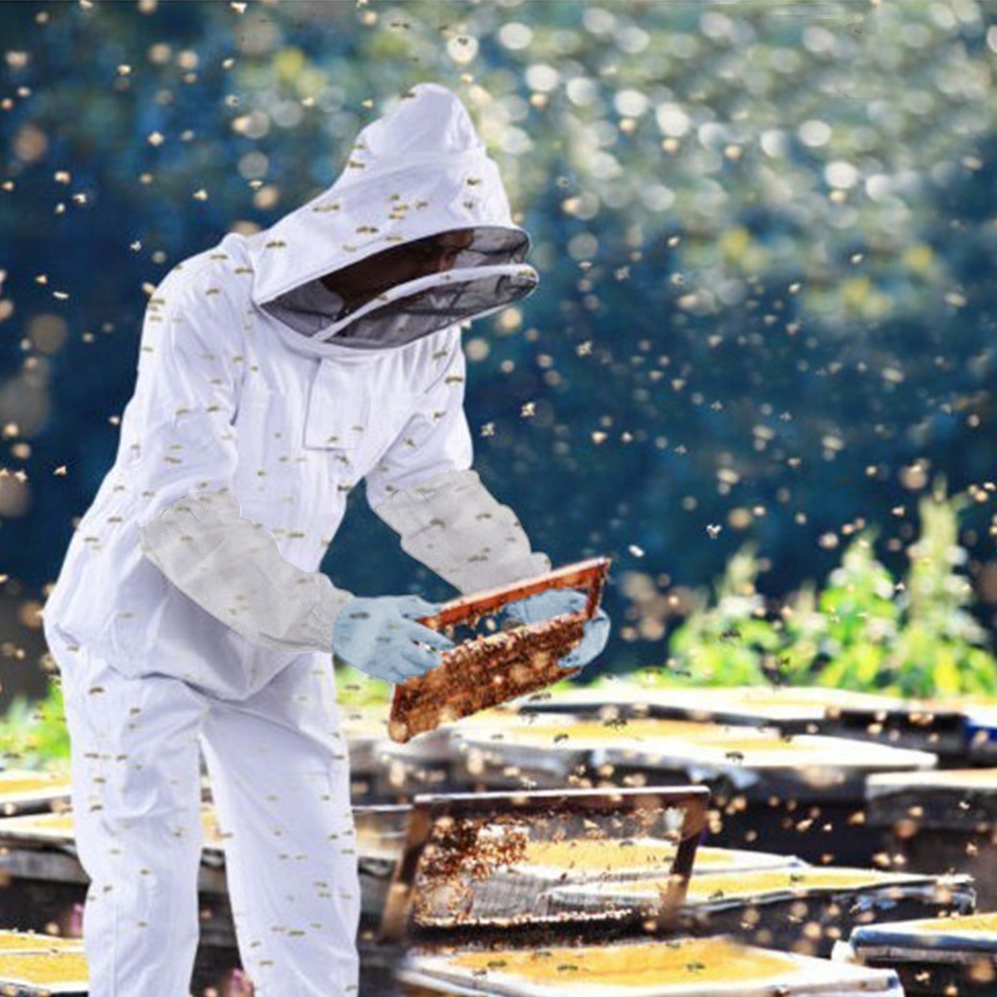 beekeeping suit