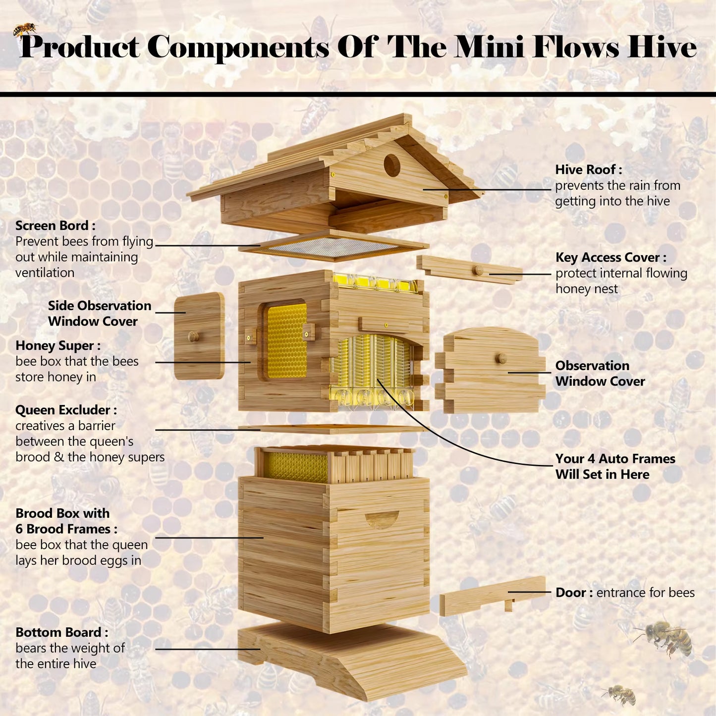 4Pcs Flowing Honey Bee Hive Box Starter Kit