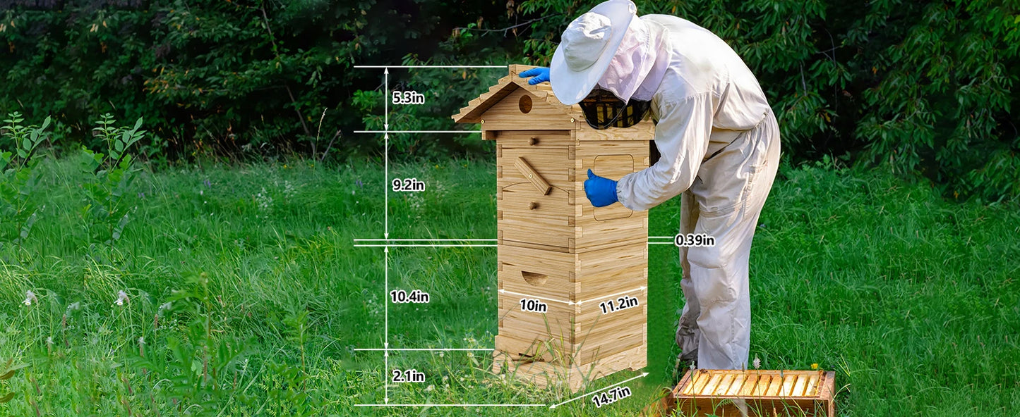 4Pcs Flowing Honey Bee Hive Box Starter Kit