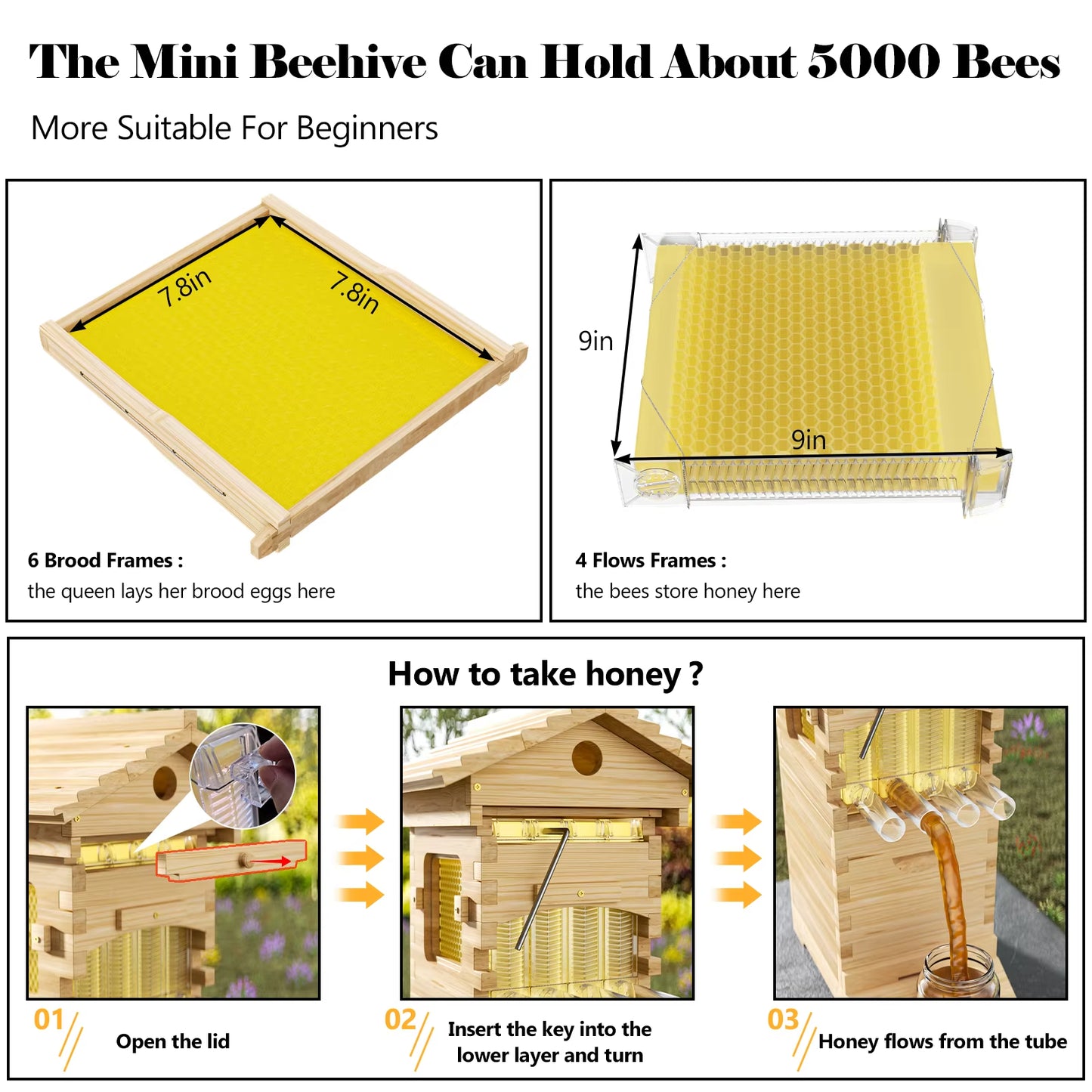 4Pcs Flowing Honey Bee Hive Box Starter Kit